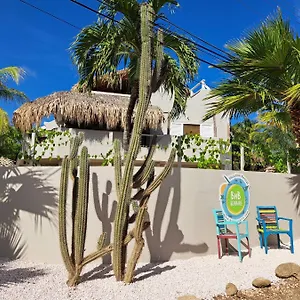 Bnbbonaire Near The Ocean 3*, Playa Bonaire, Sint Eustatius en Saba
